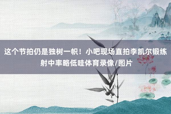 这个节拍仍是独树一帜！小吧现场直拍李凯尔锻练 射中率略低哇体育录像/图片