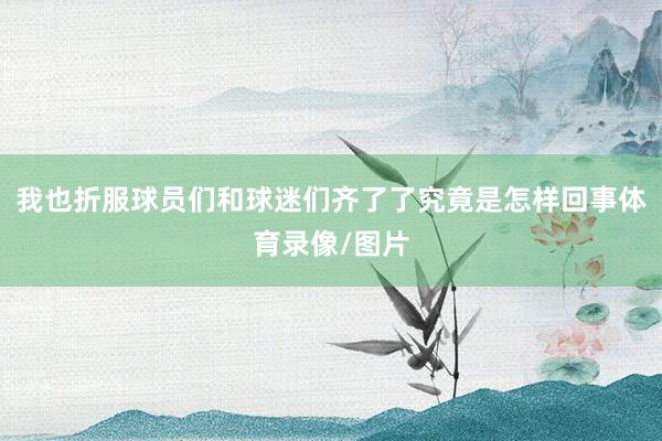 我也折服球员们和球迷们齐了了究竟是怎样回事体育录像/图片