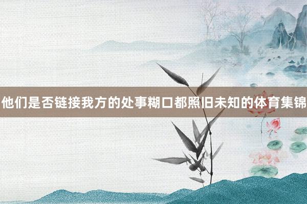 他们是否链接我方的处事糊口都照旧未知的体育集锦