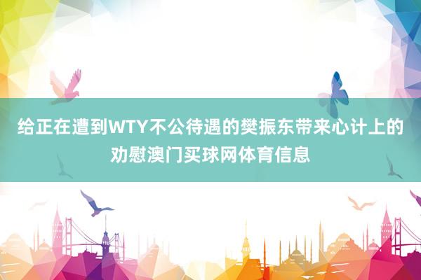 给正在遭到WTY不公待遇的樊振东带来心计上的劝慰澳门买球网体育信息