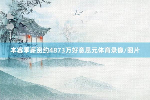 本赛季薪资约4873万好意思元体育录像/图片