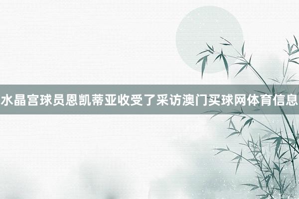 水晶宫球员恩凯蒂亚收受了采访澳门买球网体育信息