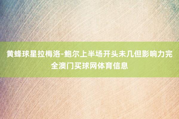 黄蜂球星拉梅洛-鲍尔上半场开头未几但影响力完全澳门买球网体育信息