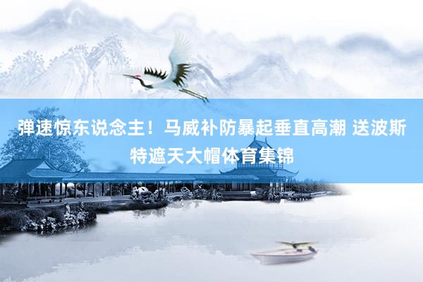 弹速惊东说念主！马威补防暴起垂直高潮 送波斯特遮天大帽体育集锦