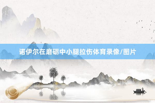 诺伊尔在磨砺中小腿拉伤体育录像/图片