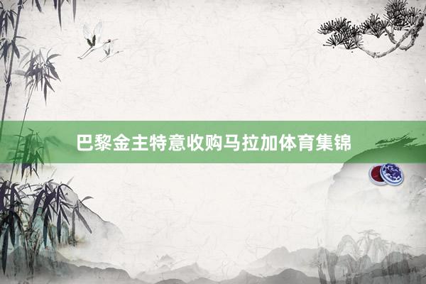 巴黎金主特意收购马拉加体育集锦