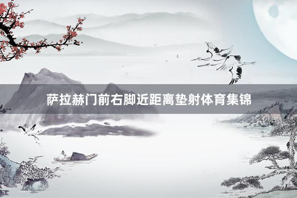 萨拉赫门前右脚近距离垫射体育集锦
