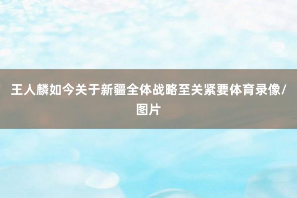 王人麟如今关于新疆全体战略至关紧要体育录像/图片