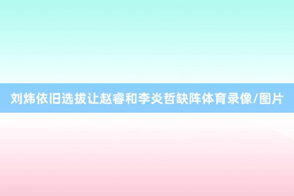 刘炜依旧选拔让赵睿和李炎哲缺阵体育录像/图片