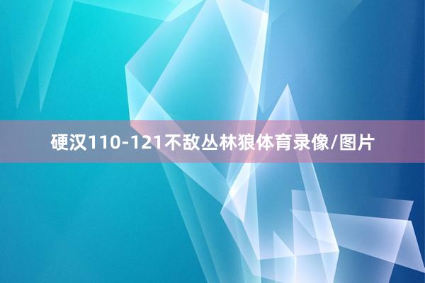 硬汉110-121不敌丛林狼体育录像/图片