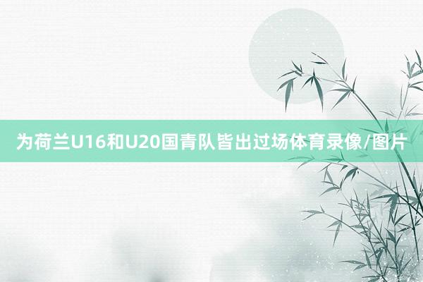 为荷兰U16和U20国青队皆出过场体育录像/图片