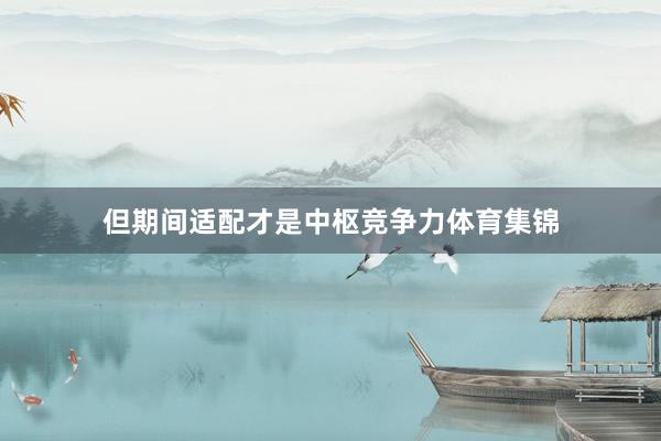 但期间适配才是中枢竞争力体育集锦