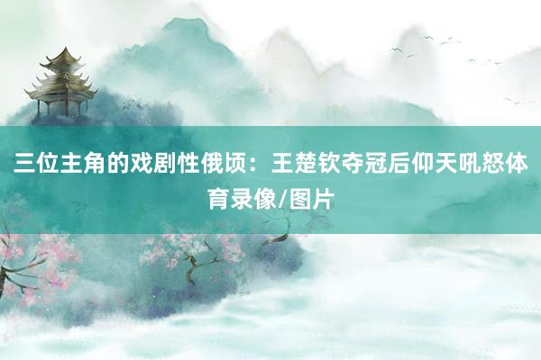 三位主角的戏剧性俄顷：王楚钦夺冠后仰天吼怒体育录像/图片