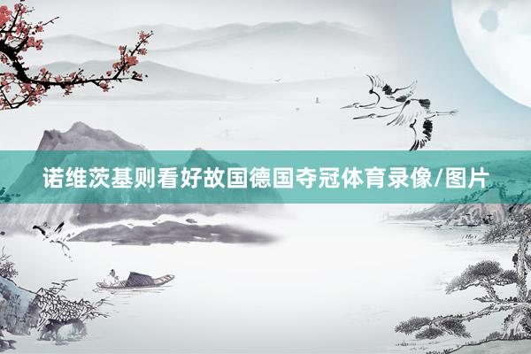 诺维茨基则看好故国德国夺冠体育录像/图片