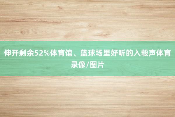伸开剩余52%体育馆、篮球场里好听的入彀声体育录像/图片