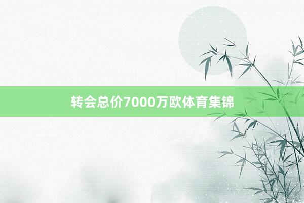 转会总价7000万欧体育集锦