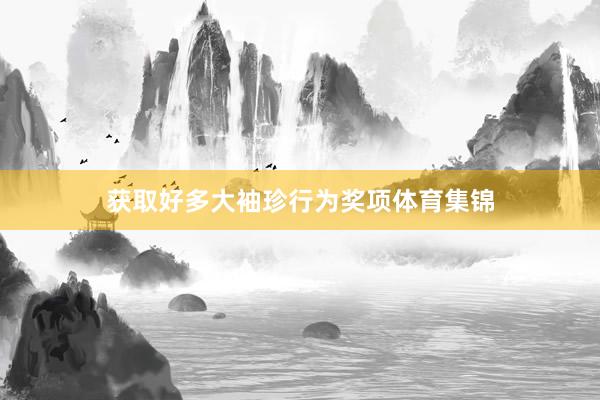 获取好多大袖珍行为奖项体育集锦
