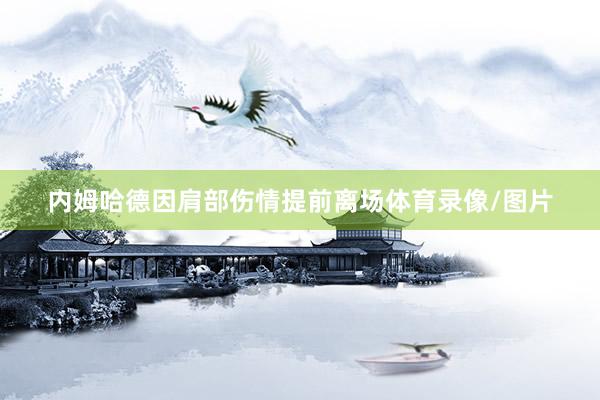 内姆哈德因肩部伤情提前离场体育录像/图片