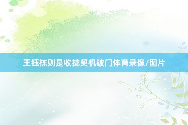 王钰栋则是收拢契机破门体育录像/图片