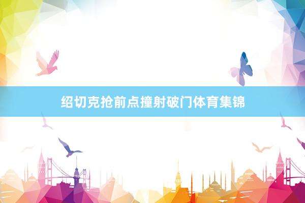 绍切克抢前点撞射破门体育集锦