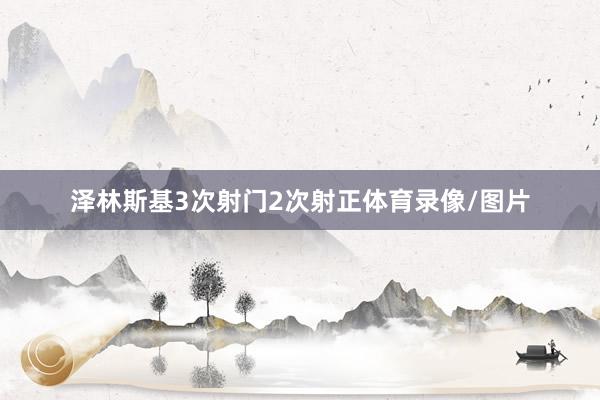 泽林斯基3次射门2次射正体育录像/图片