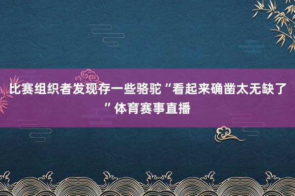 比赛组织者发现存一些骆驼“看起来确凿太无缺了”体育赛事直播