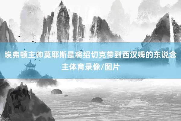 埃弗顿主帅莫耶斯是将绍切克带到西汉姆的东说念主体育录像/图片