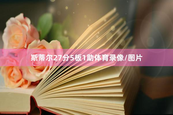 斯蒂尔27分5板1助体育录像/图片