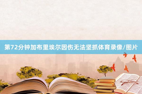 第72分钟加布里埃尔因伤无法坚抓体育录像/图片