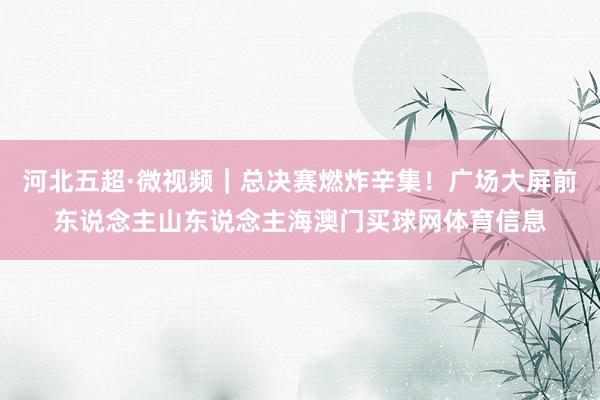 河北五超·微视频｜总决赛燃炸辛集！广场大屏前东说念主山东说念主海澳门买球网体育信息