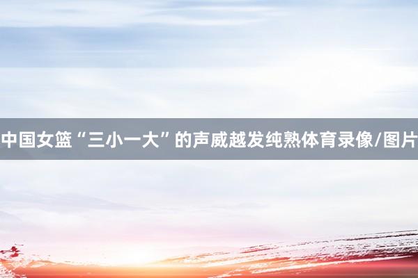 中国女篮“三小一大”的声威越发纯熟体育录像/图片
