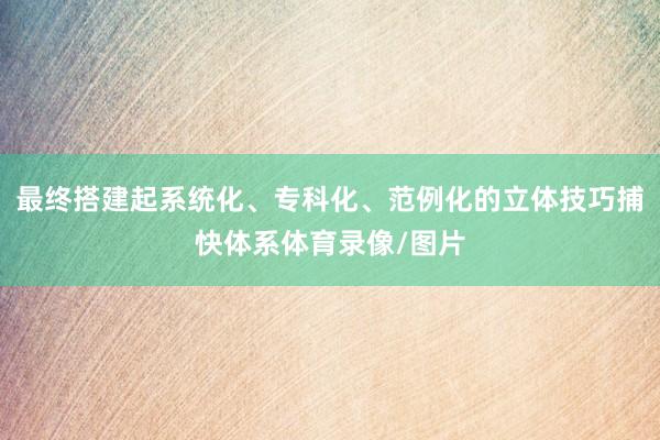 最终搭建起系统化、专科化、范例化的立体技巧捕快体系体育录像/图片