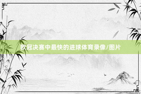 欧冠决赛中最快的进球体育录像/图片