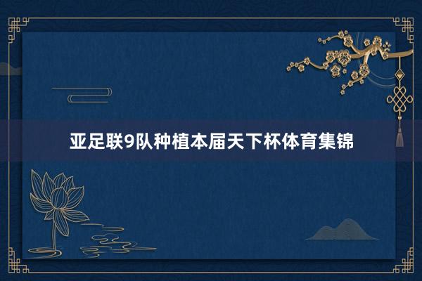 亚足联9队种植本届天下杯体育集锦