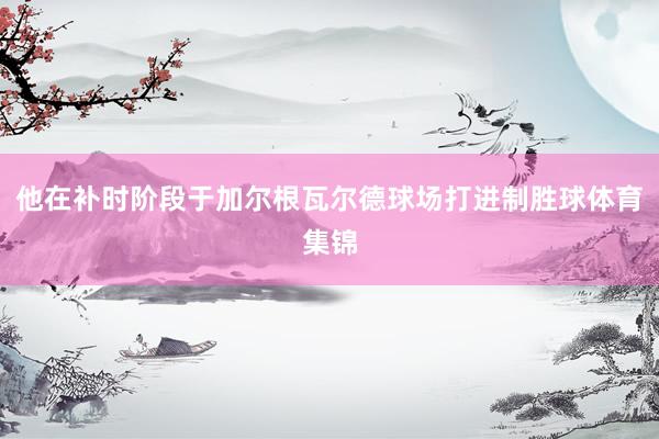 他在补时阶段于加尔根瓦尔德球场打进制胜球体育集锦